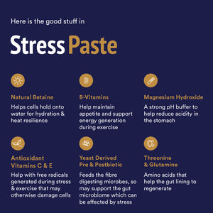 Stress Paste 360ml Pack Stress Paste 360ml Pack