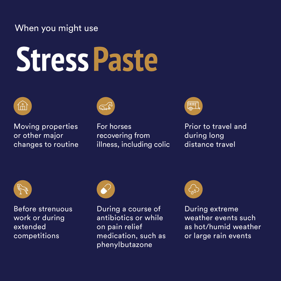Stress Paste 360ml Pack