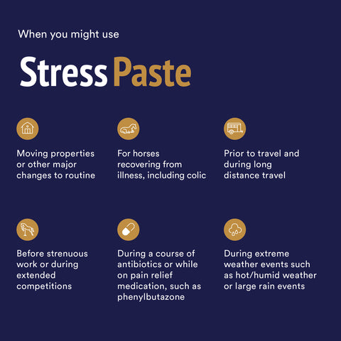 Stress Paste 360ml Pack