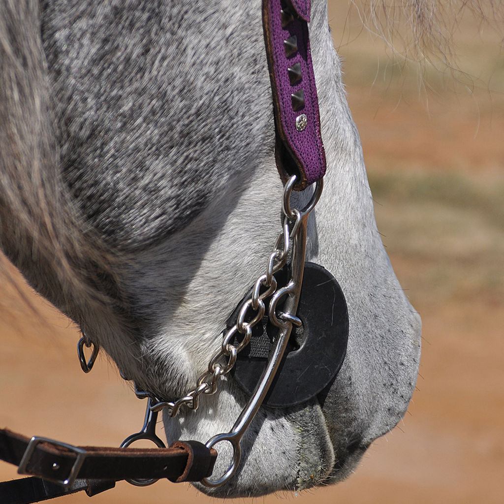 Bit Cheek Guards (1-pair)