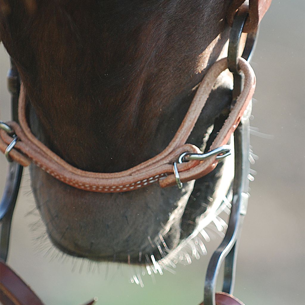 Martin Saddlery Harness Curb Strap 1/2-inch Thick