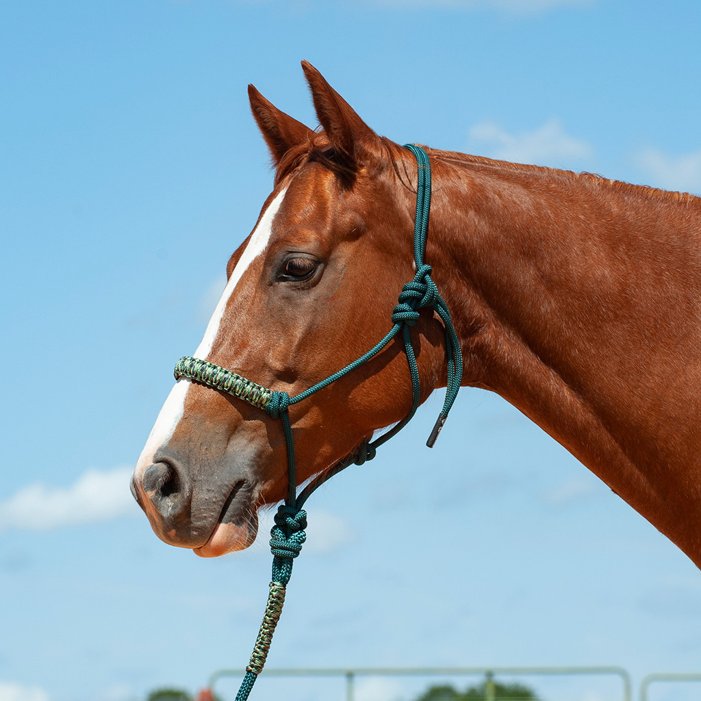 Braided Rope Halter and 7.5-foot Leadrope