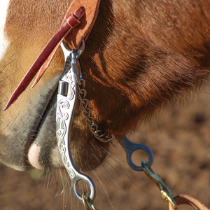 Educator Shank Roping Bit with Swivel Smooth Bar Dogbone 5.75 - Pre order only Educator Shank Roping Bit with Swivel Smooth Bar Dogbone 5.75 - Pre order only
