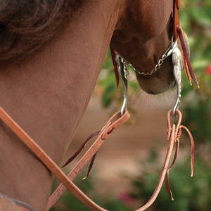 Harness Split Reins 5/8-inch Thick Tied Ends Harness Split Reins 5/8-inch Thick Tied Ends