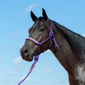 Braided Rope Halter and 7.5-foot Leadrope Braided Rope Halter and 7.5-foot Leadrope