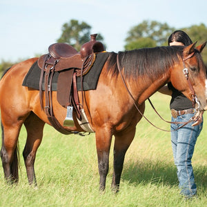 Drover Saddle with 6.5-inch Gullet - pre order only Drover Saddle with 6.5-inch Gullet - pre order only