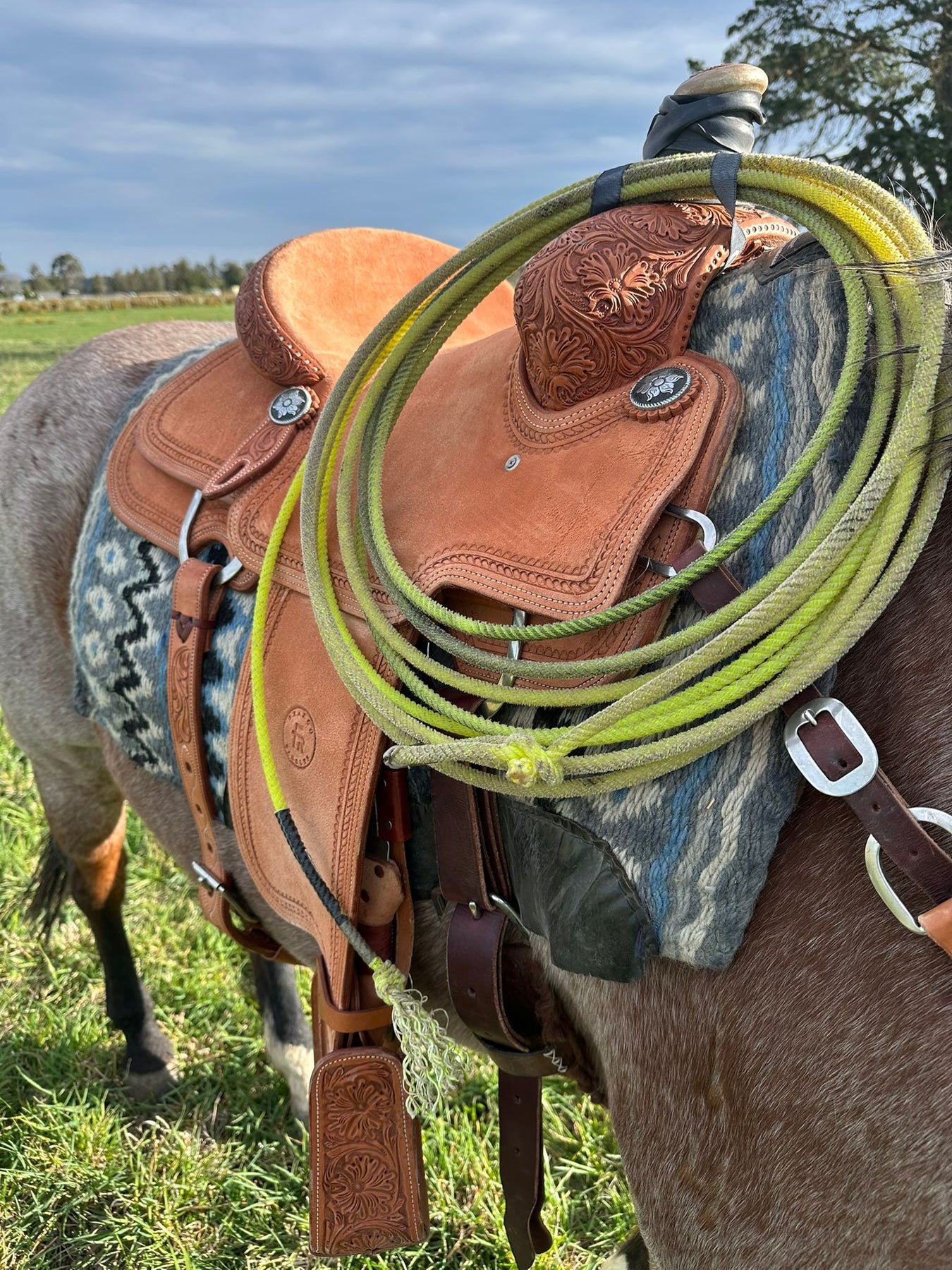 Roping accessories