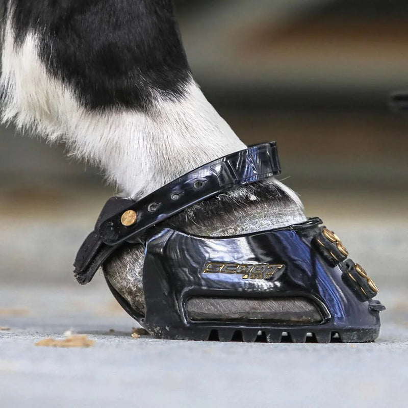 Scoot Boots Classic - Pair