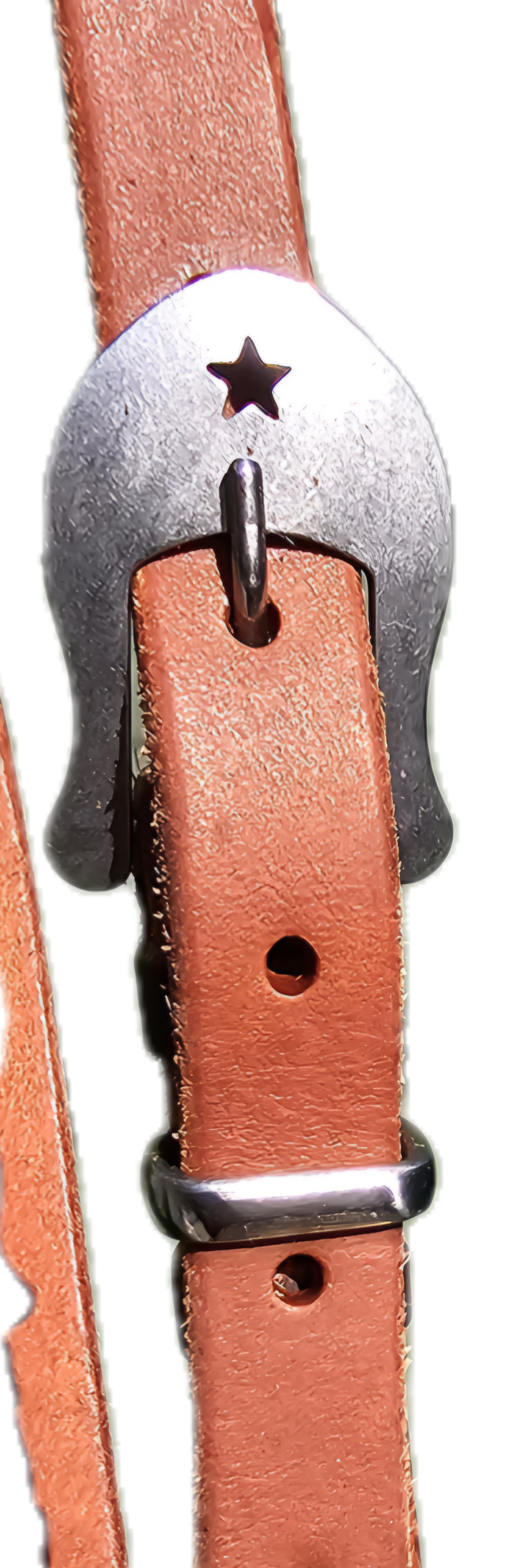 Leather bridle one ear