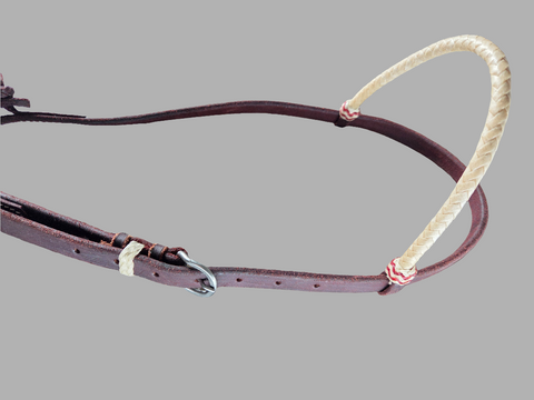 Leather bridle