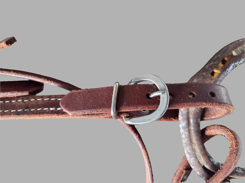 Leather bridle