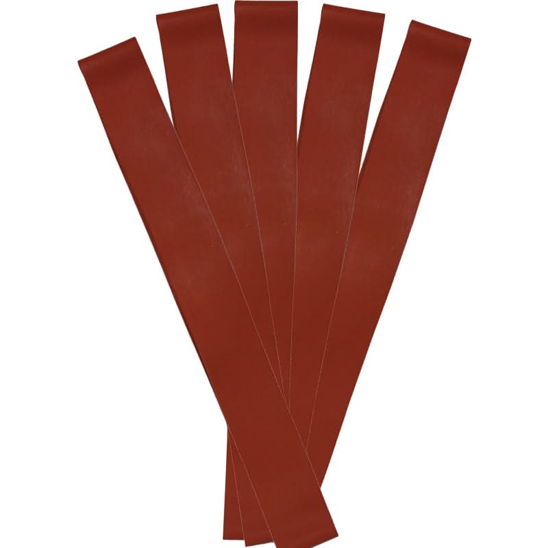 DALLY RED CACTUS