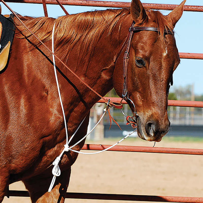 String Martingale