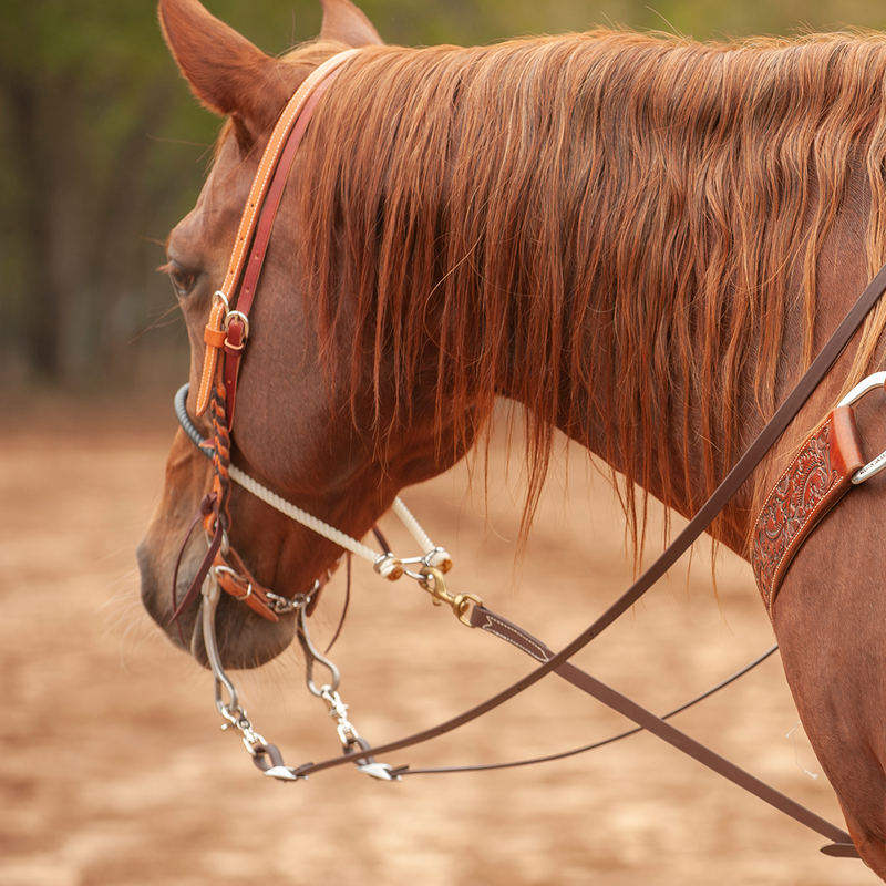 Martin Saddlery BioThane Roping Rein 5/8-inch Thick Buckle Snap Ends