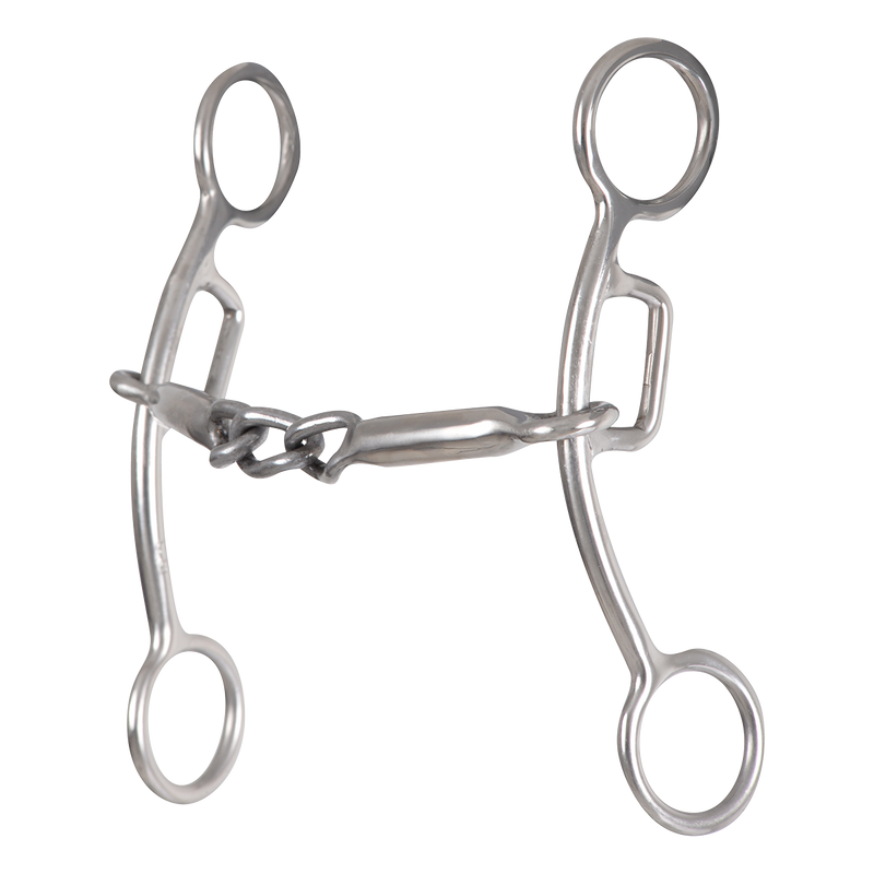 Carol Goostree Delight Shank Gag Barrel Bit with Thick Bar Chain