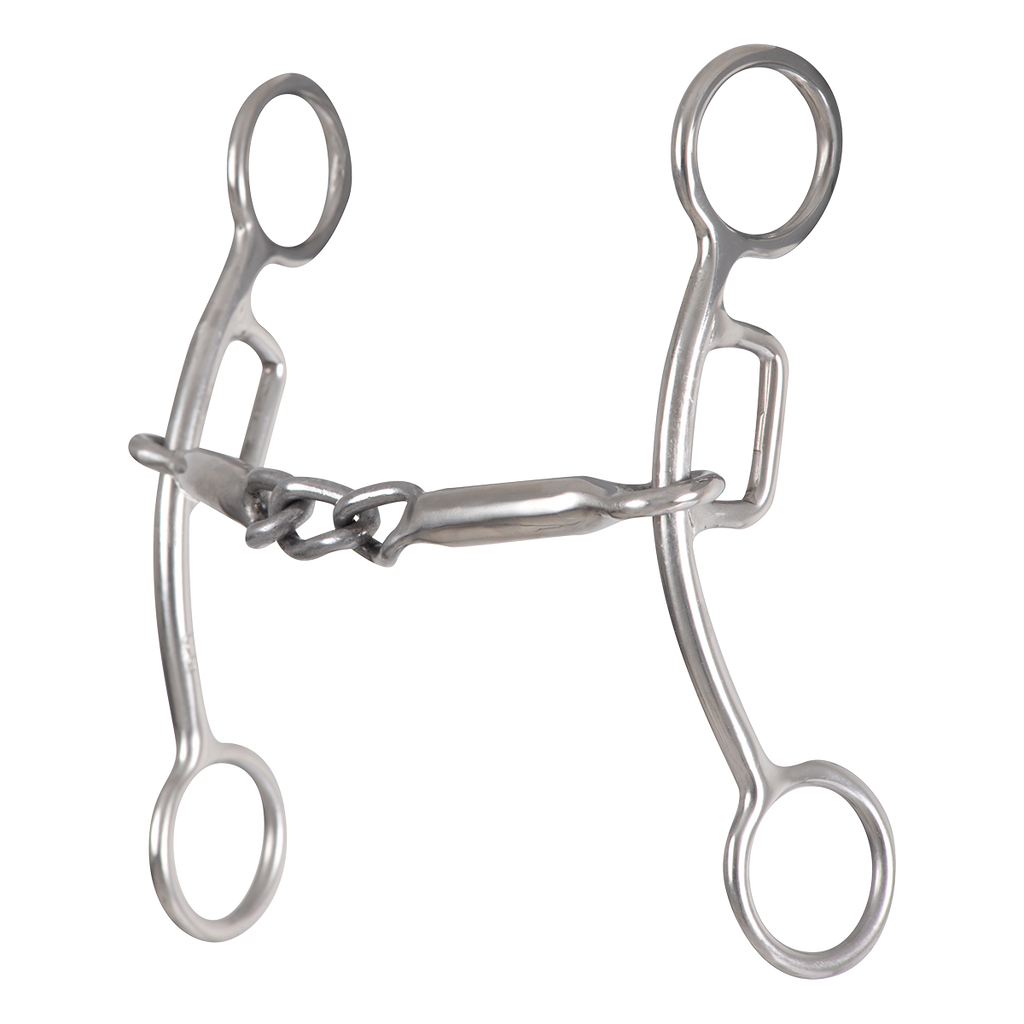 Rent Carol Goostree Delight Shank Gag Barrel Bit with Thick Bar Chain