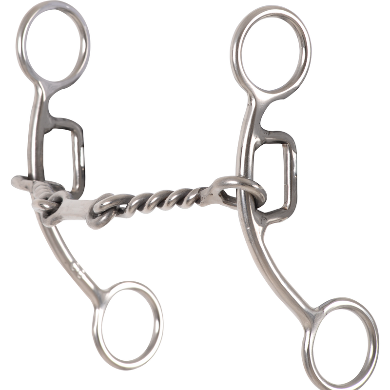 Rent Carol Goostree Delight Shank Gag Barrel Bit with Twisted Wire Dr. Bristol