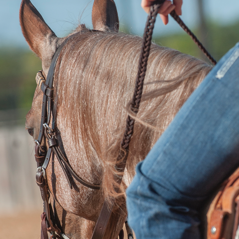 Latigo Braided 5-Strand Roping Rein 3/4-inch Thick Buckle Snap Ends - Martin Saddlery
