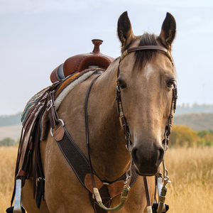 Rawhide Browband Headstall Double Trim