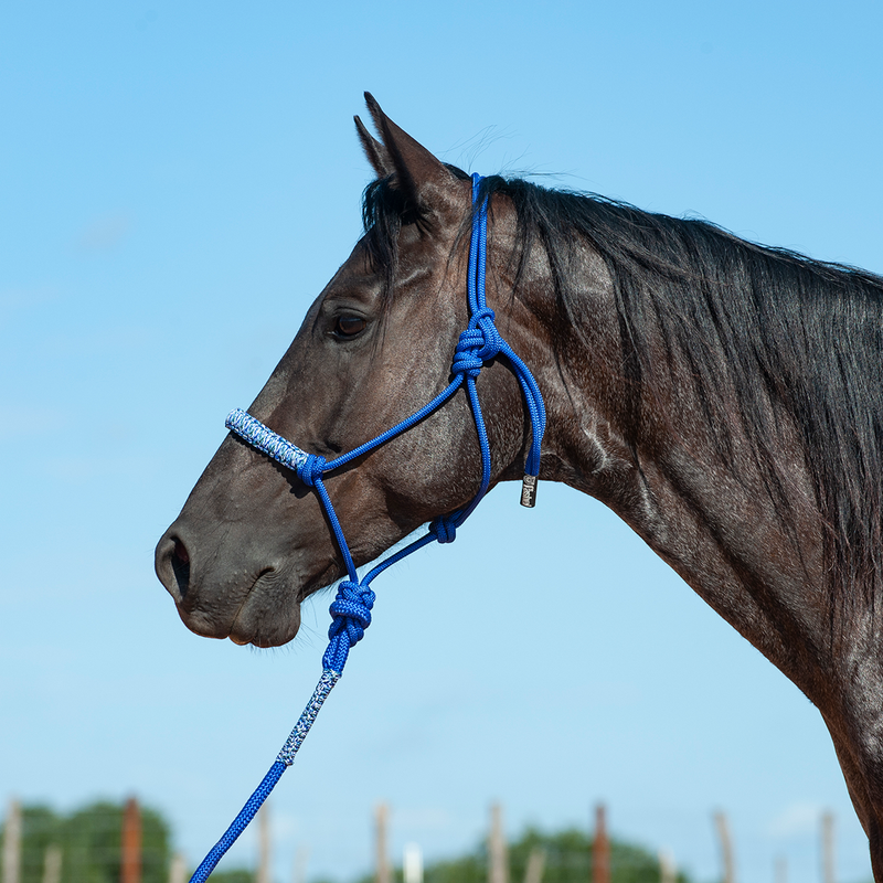Braided Rope Halter and 7.5-foot Leadrope