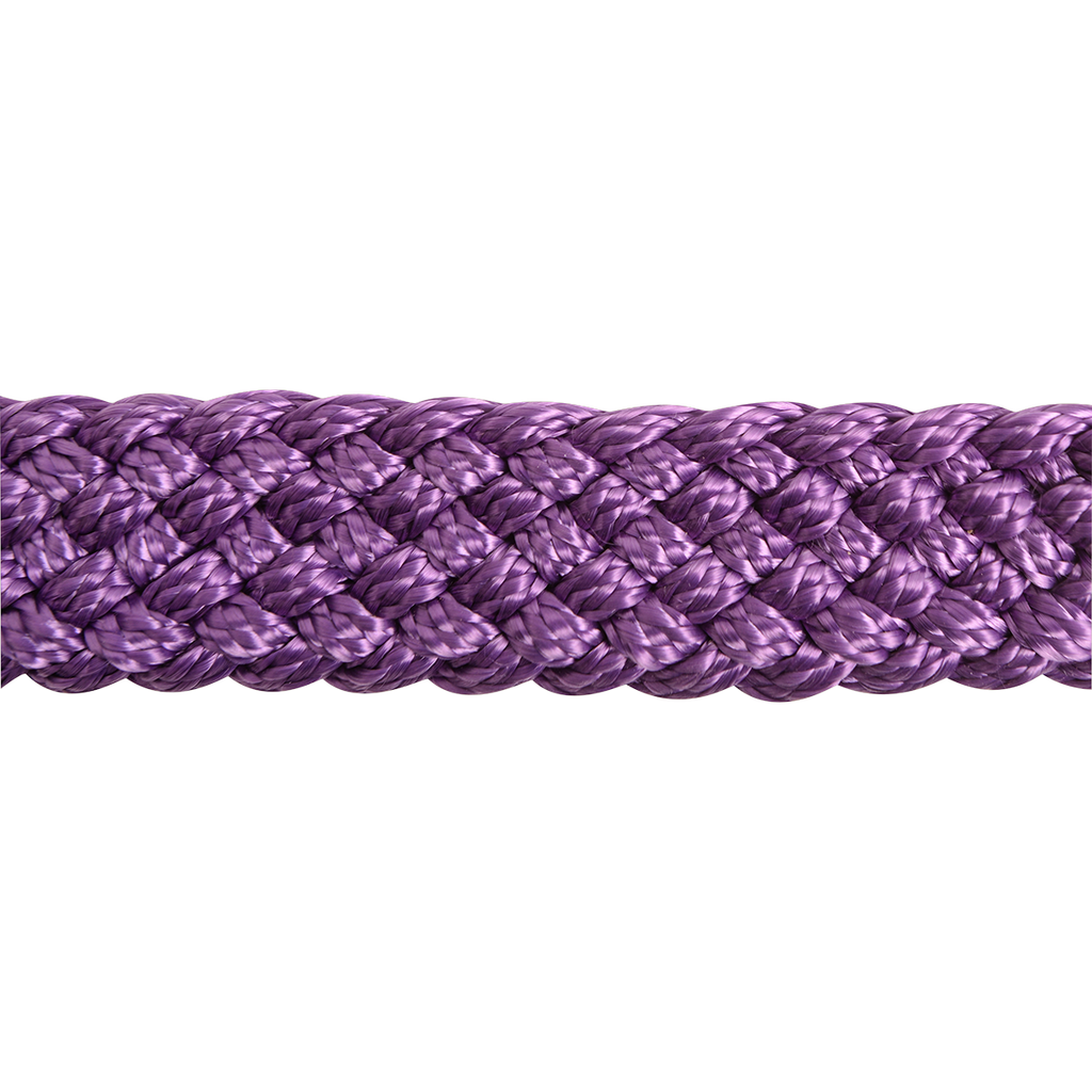 Flat Braid Halter with Leadrope