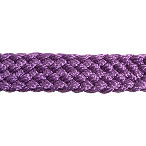 Flat Braid Halter with Leadrope