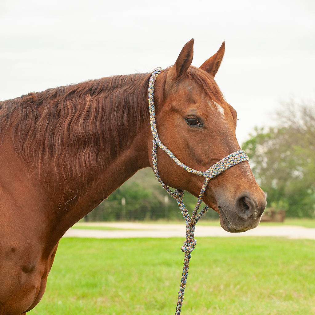 Flat Braid Halter with Leadrope Madi Grass