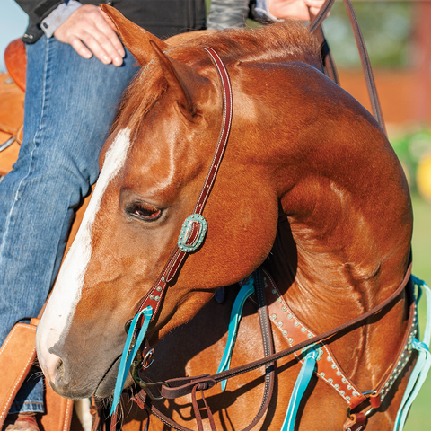 Slip Ear Headstall with Turquoise and Copper Dot Buckles