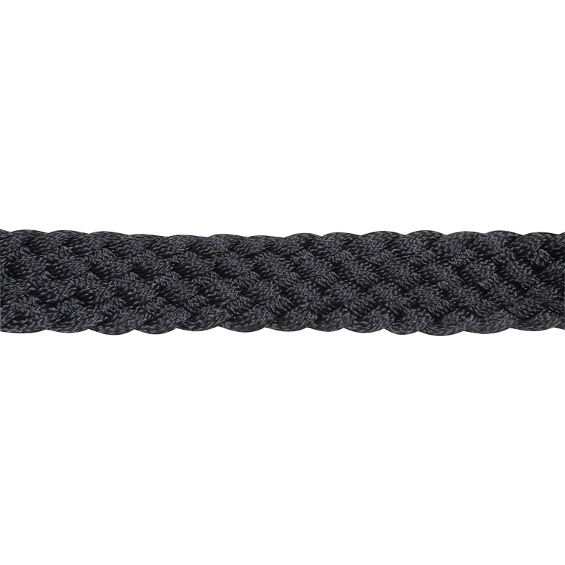 Flat Braid Halter with Leadrope Black