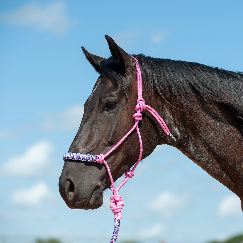 Braided Rope Halter and 7.5-foot Leadrope Pink