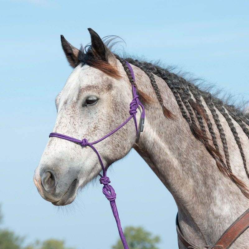Rope Halter and 9-foot Leadrope purple