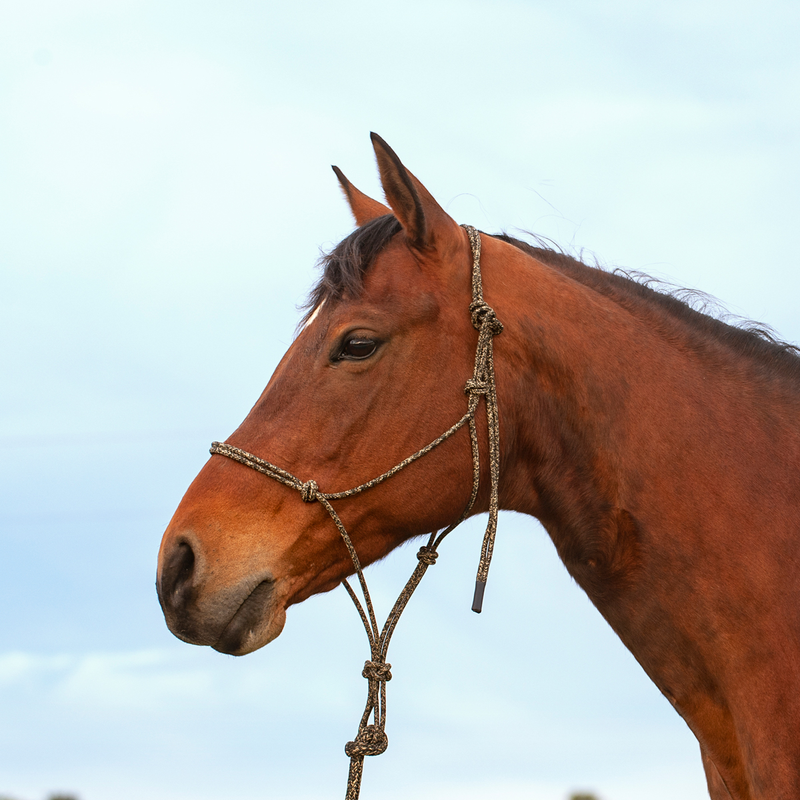 Premium rope halter - Camo