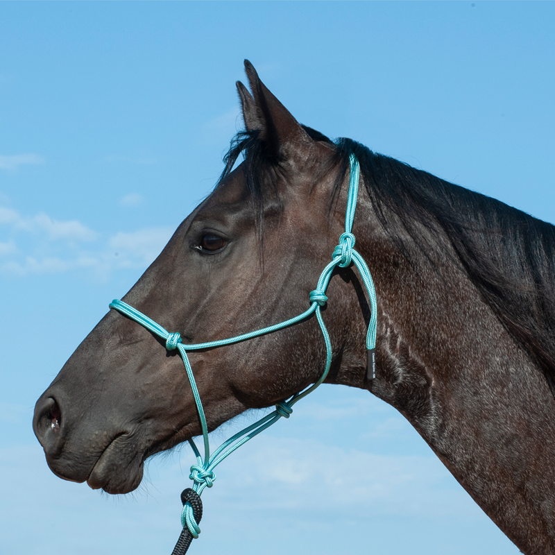 Premium rope halter - Camo
