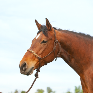 Braided Rope Halter and 7.5-foot Leadrope