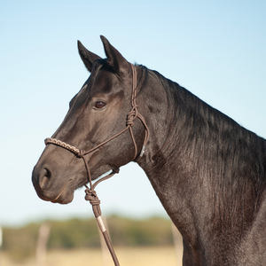 3-Tone Rope Halter and 8-foot Leadrope