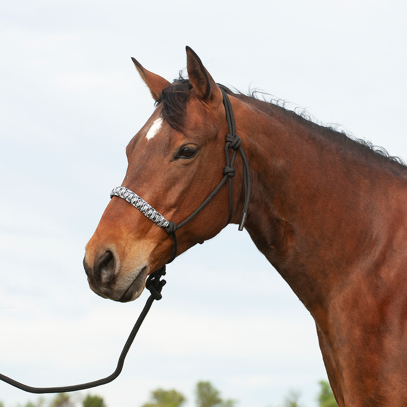 Braided Rope Halter and 7.5-foot Leadrope