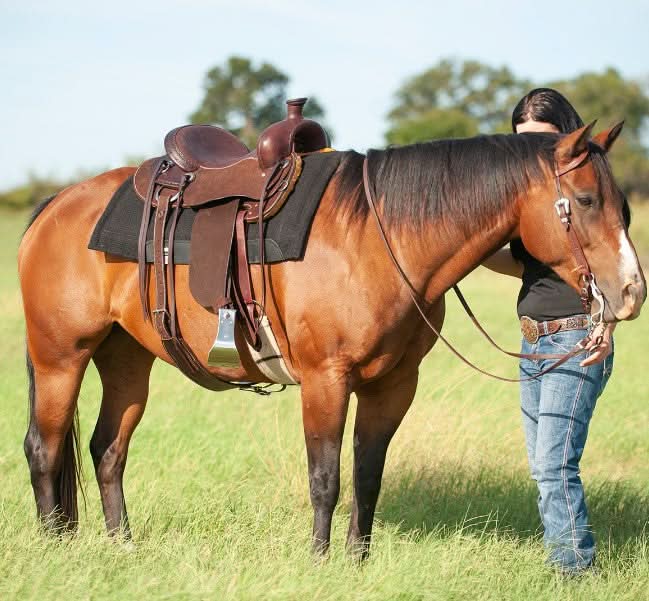 Drover Saddle with 6.5-inch Gullet - pre order only