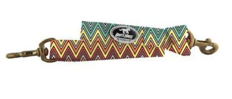 Basic Tie down set