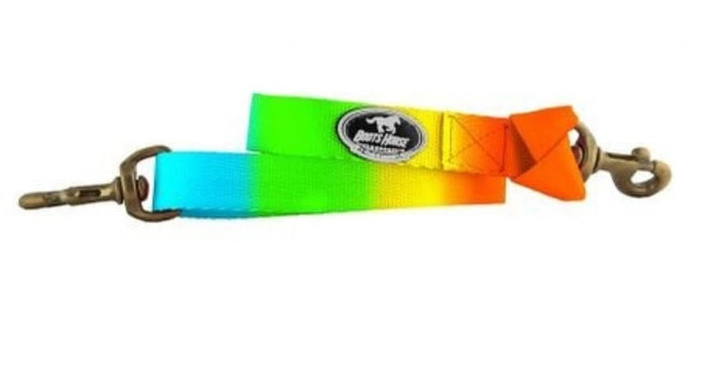 Basic Tie down set