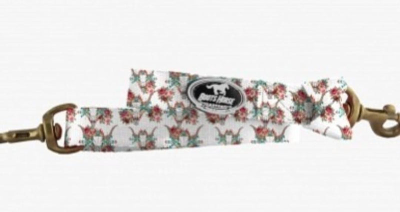 Basic Tie down set
