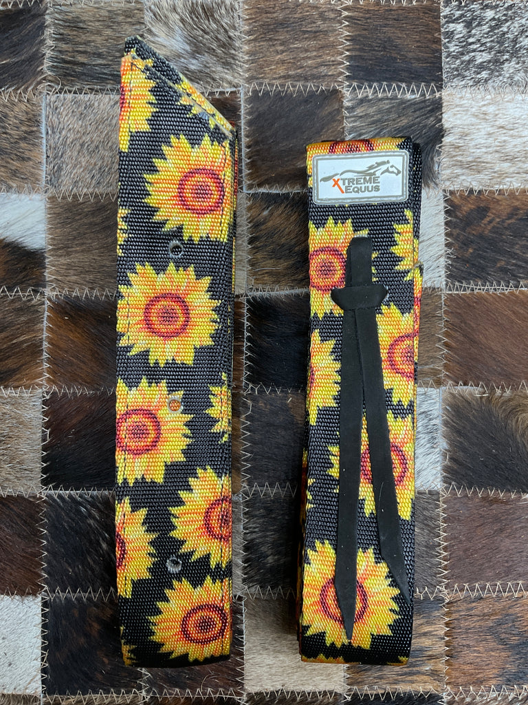 Latigo set