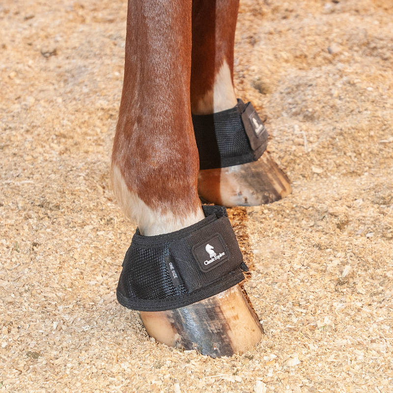 Classic MAGNTX BELL BOOT - Pre order