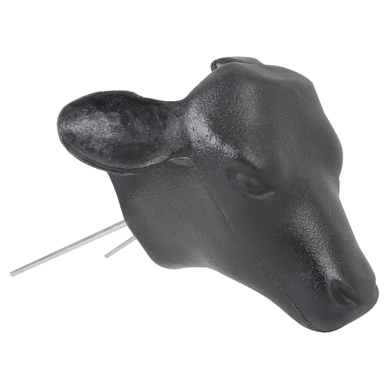 Calf Head