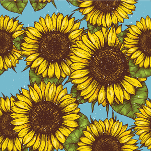 Sport Medicine boots -  Sunflowers (New)